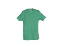 T -shirt Ronde hals Printer heavy T RSX , 160 gr. (bestaat ook in V-hals)